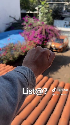 Prueba de Intuición: ¿Qué Color es la Canica?