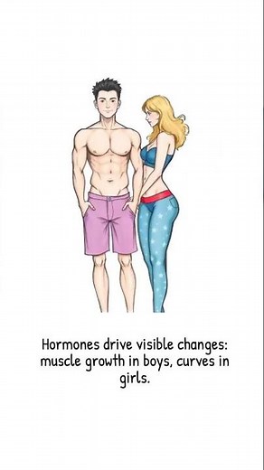 The Science of Teen Crushes Hormones, Brain Changes, and Attraction