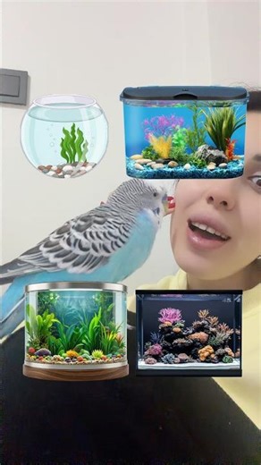 Which fish belongs in which aquarium? 🐠🐡🐟
