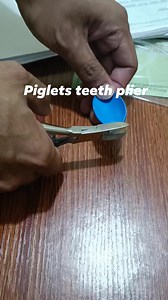 4.1K views · 20 reactions | Piglet teeth plier #Viddavet #vidavet #alagasababoy #davsaic #pigfarming | Viddavet Ph | Facebook