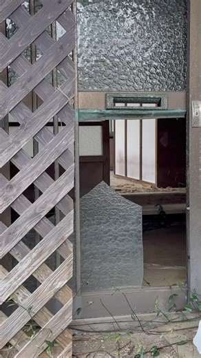 🌸 The View Through an Abandoned Window 🪟🏚️🇯🇵