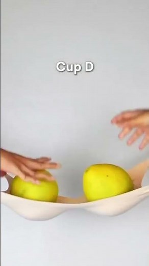 Perfect Padded Bra for Daily Comfort | Smooth Shape & Natural Lift