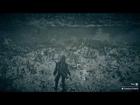 RED DEAD REDEMPTION 2 ANOTHER CARDINAL FLOWER!!!