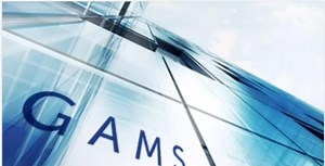 GAMS数学建模、优化分析