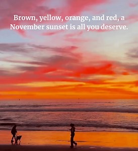 1.3K views · 7.3K reactions | Who wouldn't fall in love with Hilton Head? ☀️ From unforgettable sunrises and peaceful beach strolls to premier golf courses, Hilton Head Island offers everything. No wonder it consistently ranks as a Top Island in the United States, earning a remarkable 96.39 from Condé Nast Traveler in 2025. Eager to explore this piece of paradise? Begin planning your perfect escape at www.vacationcompany.com. | The Vacation Company | Facebook