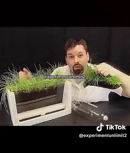 Protecting Soil from Erosion with Vegetation