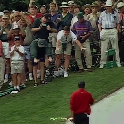 The greatest to ever do it🔥 #perfectdrivegolf #golf #golftok #pga #pgatour #fyp #viral #tigerwoods #golfedit #foryou #foryoupage #follow #like #share