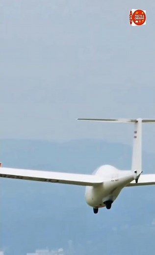 HOW These Really WORK?!