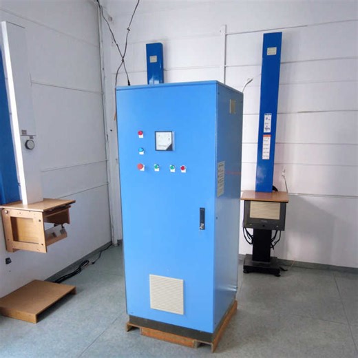 Output 100g Ozone Generator Swimming Pool Disinfection Equipment Source Factory