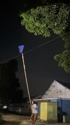 target on a tall tree #trending #wildlife #shorts