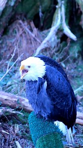 9.4K views · 911 reactions | Start your week off with a beautiful...