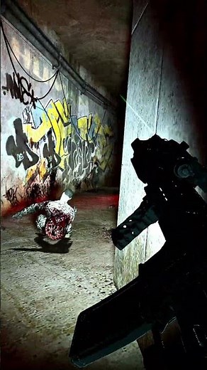 this is what you can do in Left 4 Dead 2 with mods 46