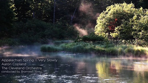 7.7K views · 184 reactions | Close your eyes. Breathe. Relax with...