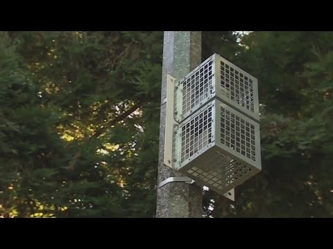 Watch: Audio repellent in Fairfield parks called a headache by neighbors