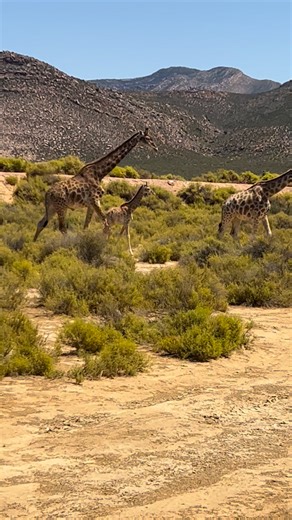 Beth Roberts on Reels