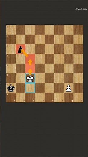 Intense Pawn Promotion Race! #chess
