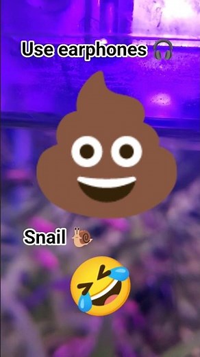 Snail pooping 💩 Video. First ever video in YouTube #snail #pooping #aquarium #shorts #viralvideo