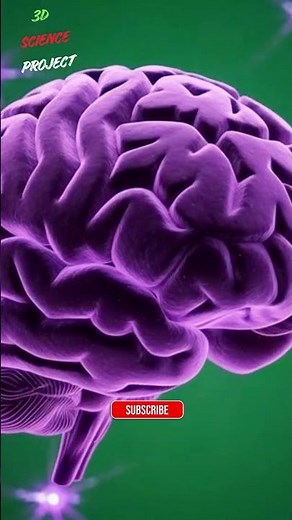 Inside the Brain | Head and Brain Internal Structure in 3D animation #3dscienceproject