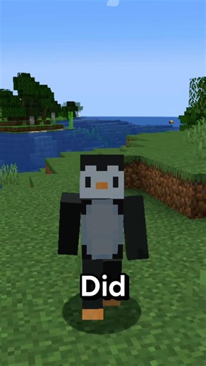 Creeper Was a Mistake?! 🤯 Minecraft Secret