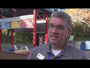 Cameron Park Zoo welcomes new director
