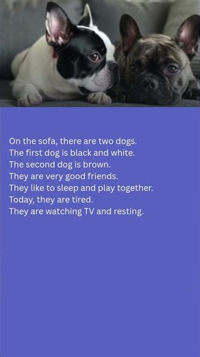 Two Dog Friends: A Heartwarming Story of Friendship