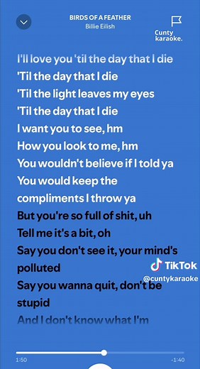 BIRDS OF A FEATHER - Billie Eilish karaoke #karaoke #cuntykaraoke #foryou #foryoupage #billieeilish #birdsofafeather #hitmehardandsoft