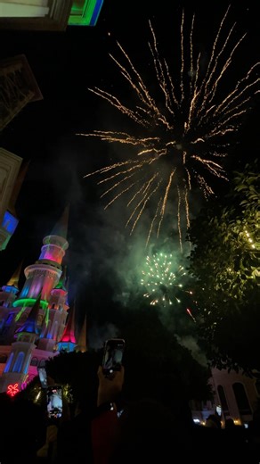 Christmas Special | Fireworks ASMR 🎇 #fireworks #happynewyear #keşfetbeniöneçıkar #keşfet #viral