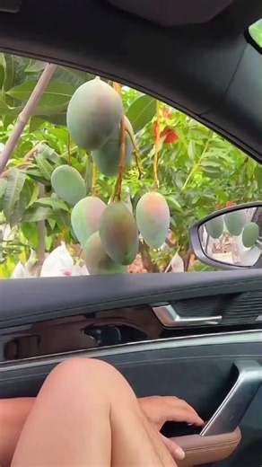 Discover Naturally Grown Organic Fruits