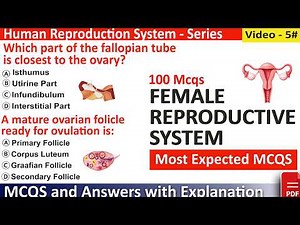 Female Reproductive System Mcqs Question and Answers | anatomy and physiology