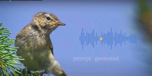 Talking to the animals? With AI tech, it may be a possibility