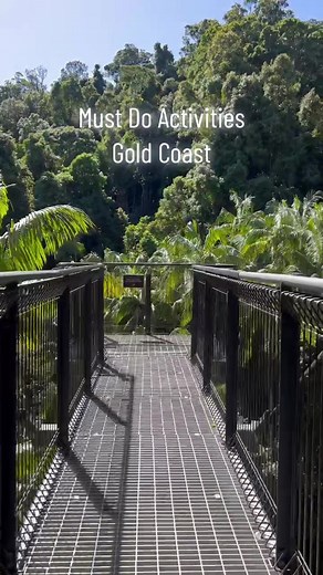 Explore Tamborine Rainforest Skywalk | Family-Friendly Adventure