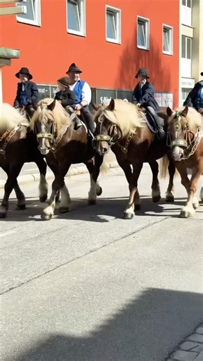 🐴 Regener Osterritt 🐴 2026 - 4x fesche Kaltblüter