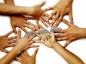 Deveres E Responsabilidades De Um Controlador De Documentos | Descrição do trabalho - 2026