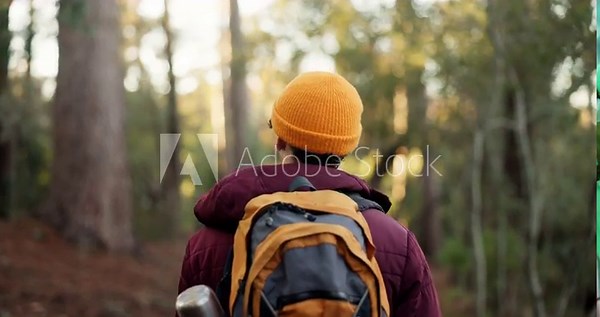 Man, back view and hiking with bag in forest for adventure, outdoor journey or trail in nature. Male person, hiker and walking with backpack or trees on natural path for trekking or fitness in woods