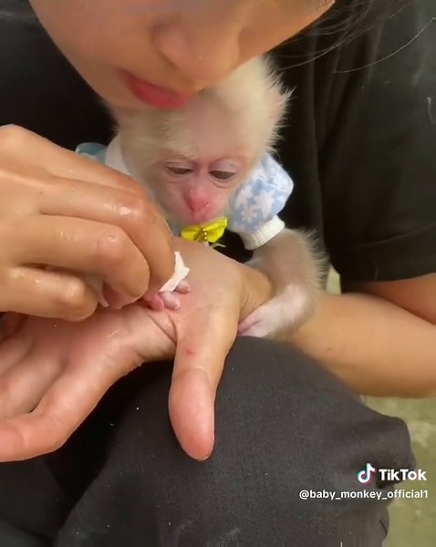 Lovely Mother take a Good care of Baby Monkey 😊 Mother Love With Baby Monkey 🙊Beautiful Baby Monkey 🙊 Shower 🚿monyetnya mandi lucu o6e3bAHy MOOT vídeo de monitos bañándose bibi monkey official monitos bebes bibi monkey video 🐒😺 #babymonkey #bibimonkey قرد یسبح vídeo de monitos bañándose bibi monkey official monitos bebes bibi monkey video monyetnya lucu monyetmonyet lucu monyet lucu monyetnya lucu tiktok monkey bibi monyetnya mandi kolam monyetnya lucu tiktok monyetnya lucu bibimonkey monk