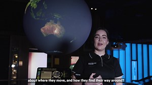 Follow the global migrations of sharks, turtles and birds using GPS tracking technology with Science on a Sphere when you visit SparkLab! | Queensland Museum Kurilpa