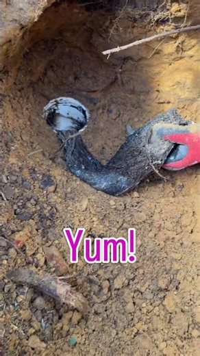 How We Locate and Repair a Broken Sewer Line Without Digging Up the Whole Yard