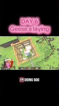 DAY 6 - exploding Minecraft chickens!