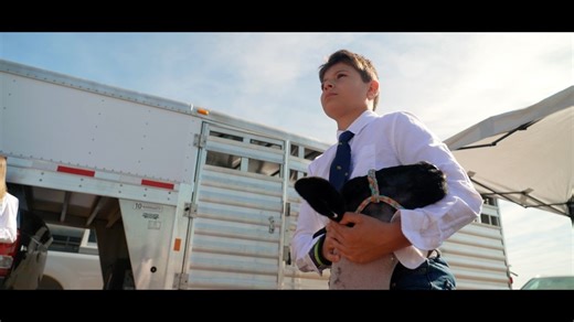 82 reactions · 53 shares | Don't live on a farm and want to show...