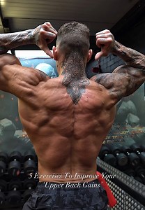 196K views · 4.6K reactions | Improve your Upper Back Gains with these 5 exercises & tips Wide Grip Bent Over Row Incline Bench DB Wide Row Reverse Cable Fly Seated Cable Upper Back Row Cable Rope Upper Back Row (These are some great exercises to help you build more width to your back) #bodybuilding #gymtips | Ross Dickerson | Facebook