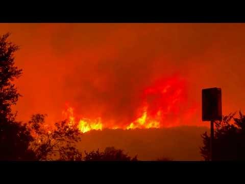 🚨 Ross Fire Disaster in Texas: 80,000+ Acres Burned, 630 Homes Evacuated & Extreme Heat