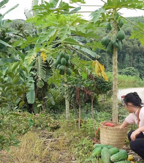 957 Why doesn't CEO Tuan dare to face the single mother, what is he plotting_ | Hard lifeshow