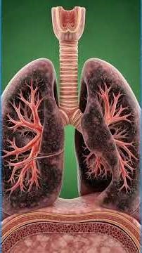 #What does smoking in our bady#