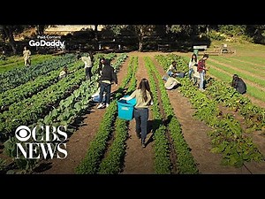 In the shadow of Austin, Texas, a small farm looms large
