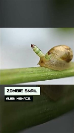 Zombie Snail. Alien Menace.