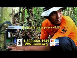 World Wildlife Fund TV Commercial, 'Tigers'