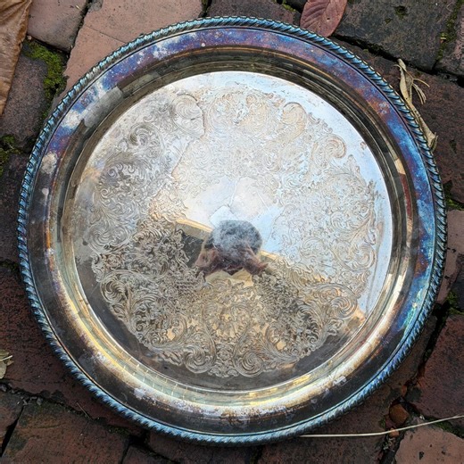 VINTAGE WM ROGERS Silverplate Tray Platter Silver Plated All Metal Etched Ornate Antiqued Patina Large Round Decorative Serving 15" - Etsy