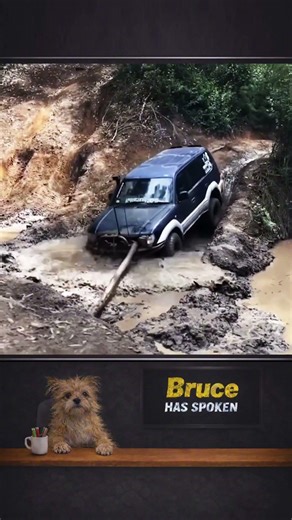 Saturday Fail Parade 😂 | Instant Regret Compilation #funny #failgag #funnyvideos