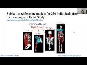 OpenColab Scaling vs. OpenSim GUI