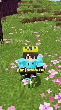 Never Play Minecraft With Friends… 😰 #shorts